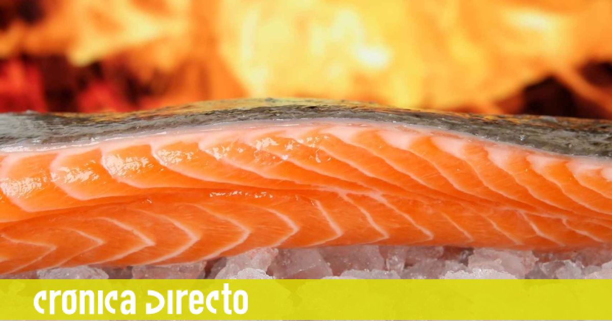 Cómo identificar el pescado realmente fresco y el pasado