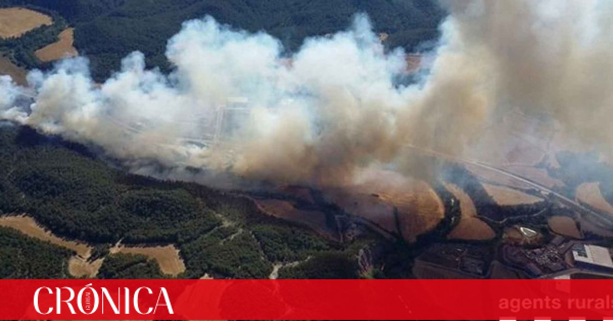 Las llamas arrasan con 25 hectáreas de Avinyó Barcelona