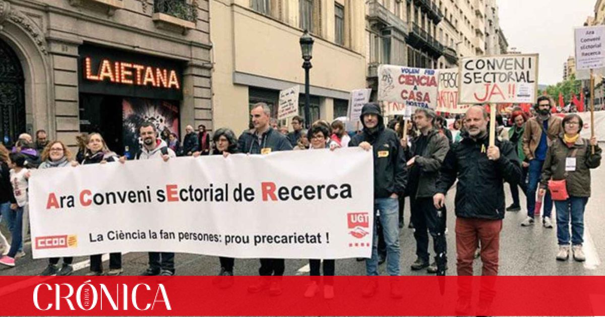 El Govern Marea La Perdiz Con La Precariedad De Los Investigadores