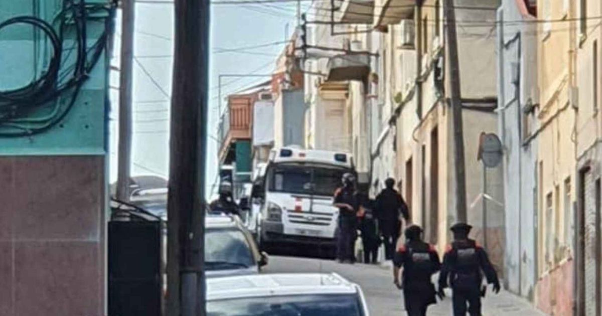 Operativo Policial Contra Una Banda De Ladrones En Badalona