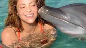 Shakira besa a un delfín en las Bahamas