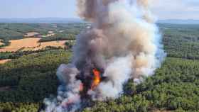 Los bomberos luchan contra un incendio forestal en Girona / BOMBEROS DE LA GENERALITAT