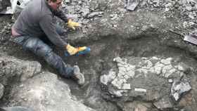 Imagen de archivo de los restos fósiles de la tortuga marina en el yacimiento, justo durante el proceso de extracción / EUROPA PRESS