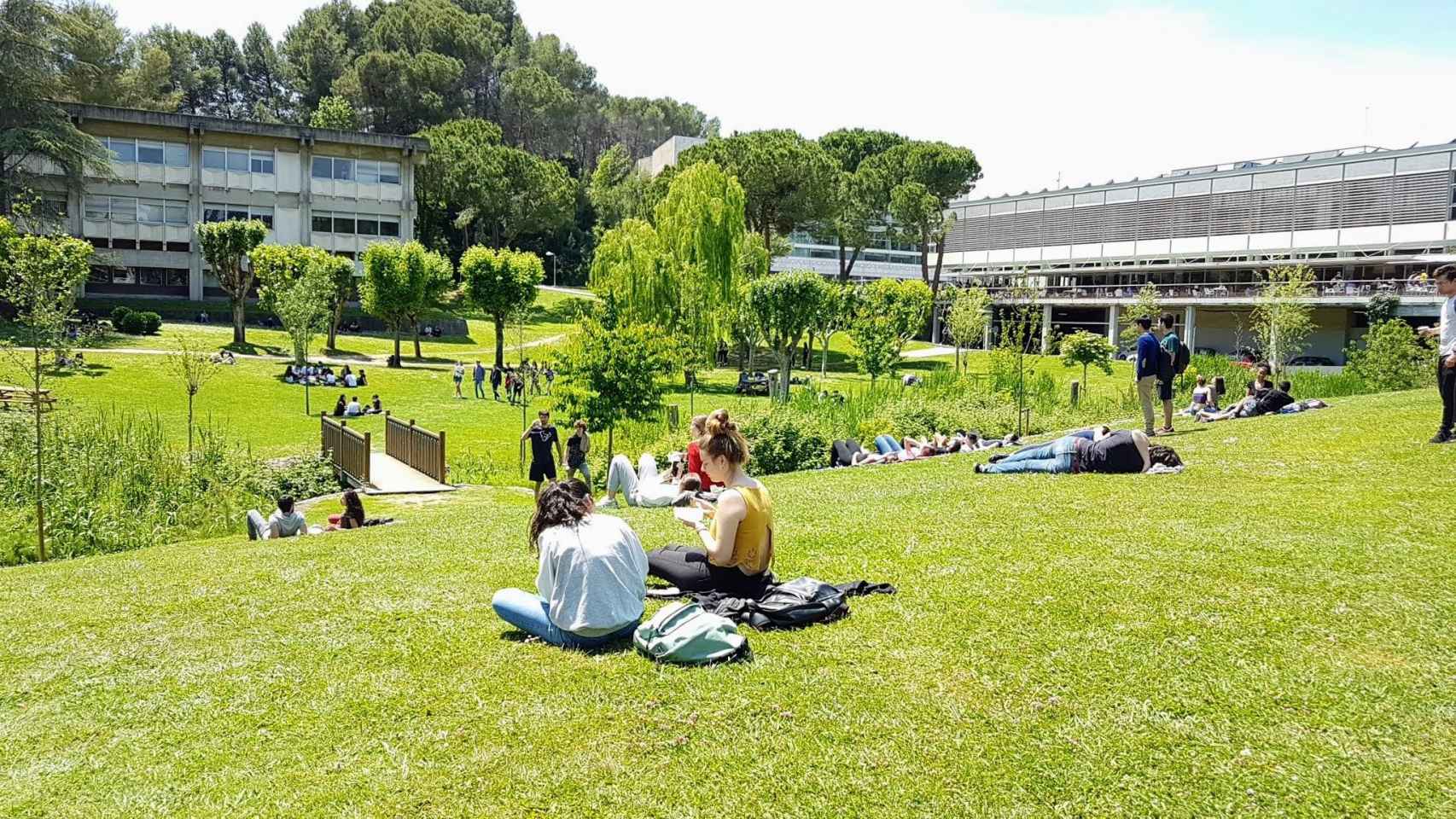 Estudiantes en el campus de la Universidad Autónoma de Barcelona / UAB