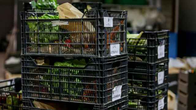 Cestas con alimentos ecológicos para familias vulnerables / EP