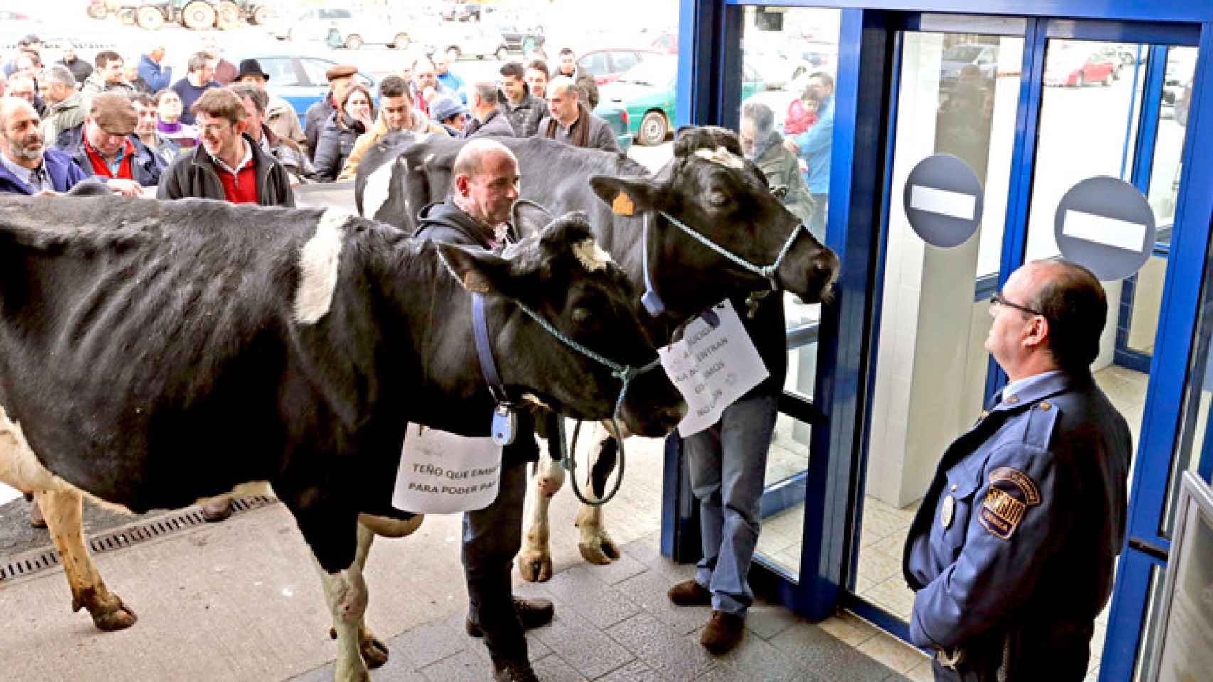 Imagen de archivo de ganaderos que protestan por el bajo precio de la leche / EFE
