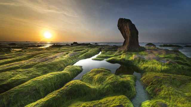 Un mar de rocas cubiertas por algas, el remedio infalible / CG