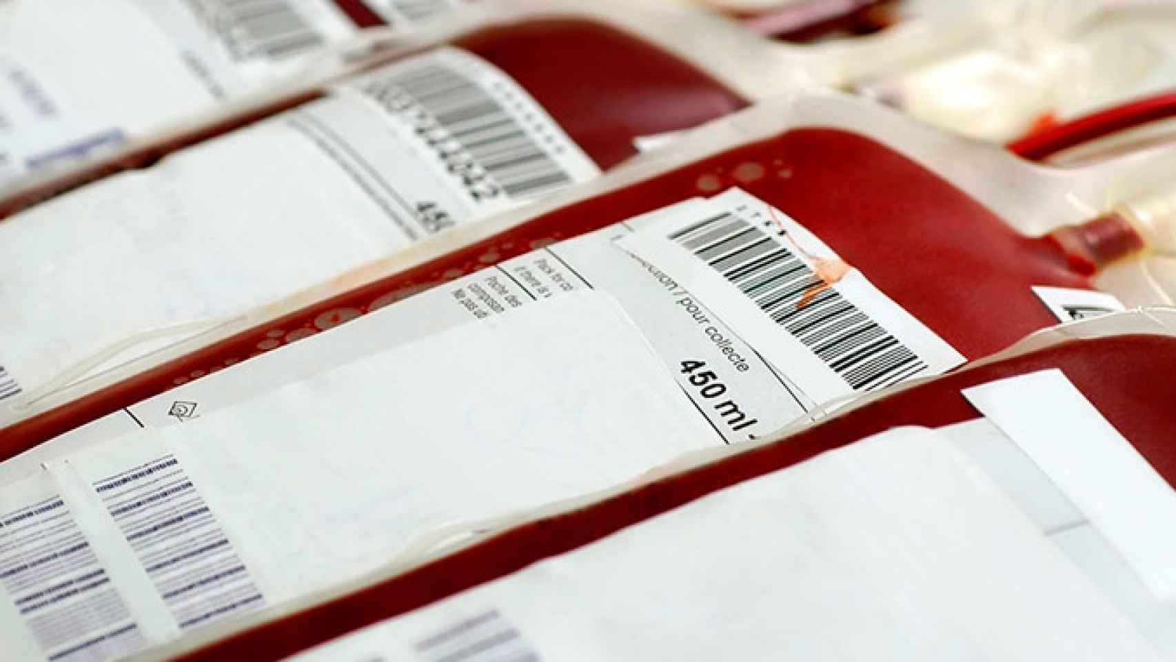 Imagen de varias bolsas de sangre / EFE