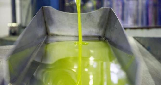 El aceite de oliva a granel está libre del pago de aranceles / EP