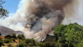 Una de las primeras imágenes del incendio de Baldomar, Artesa de Segre, Lleida