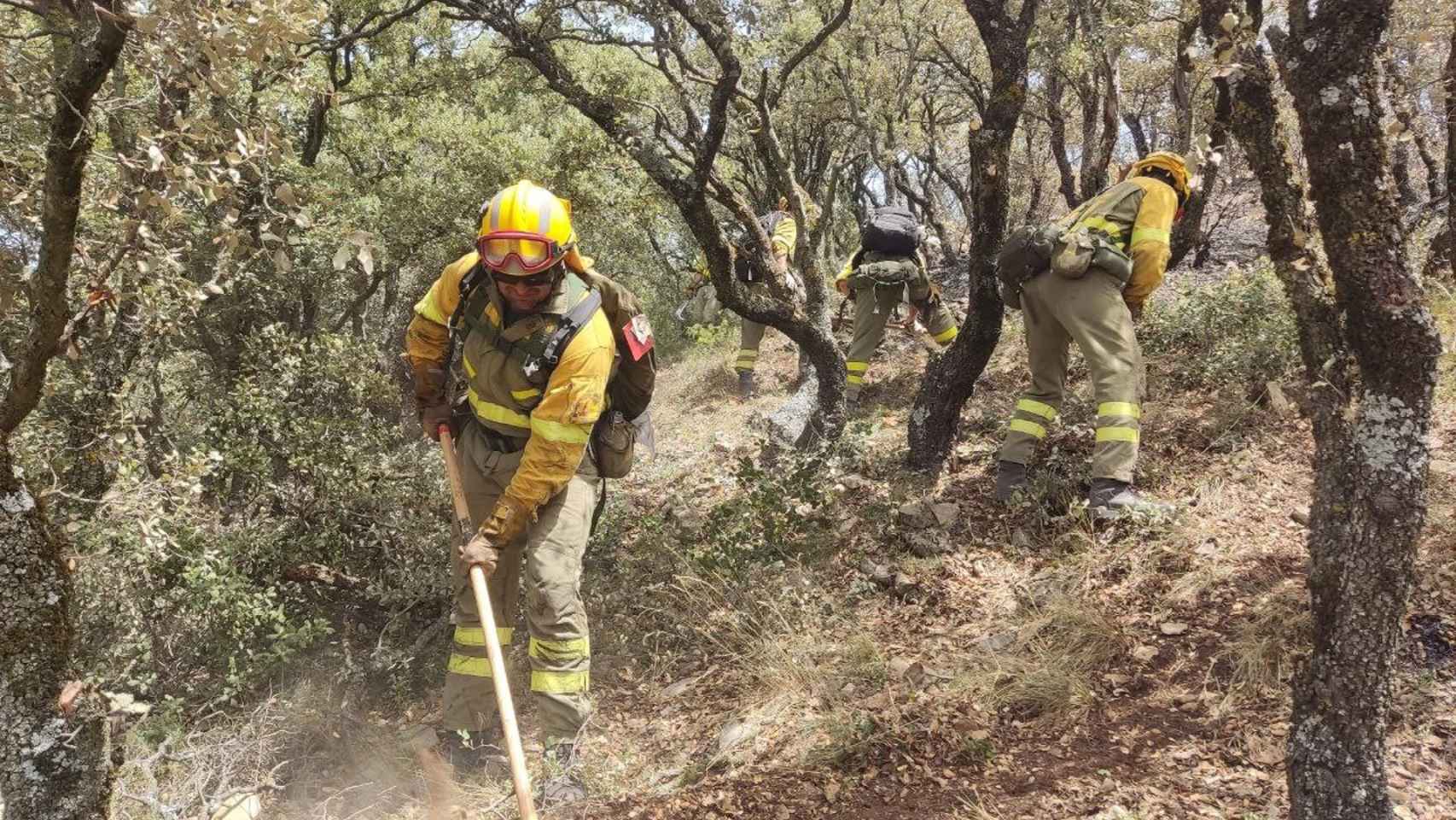Efectivos de los bomberos trabajan en el flanco izquierdo de Artesa de Segre (Lleida) / BOMBEROS DE LA GENERALITAT