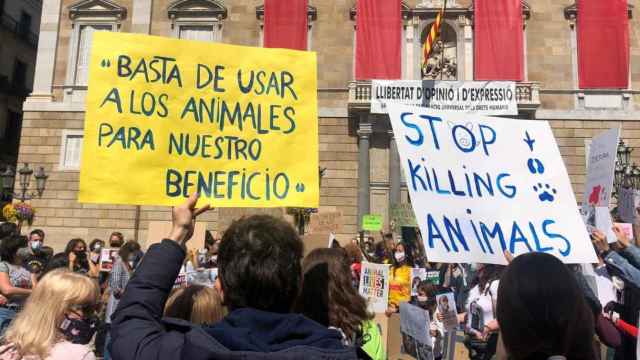 Manifestación animalista en Barcelona / EP