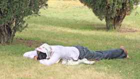 Un hombre se hecha la siesta en un parque público, en una imagen de archivo. / CG
