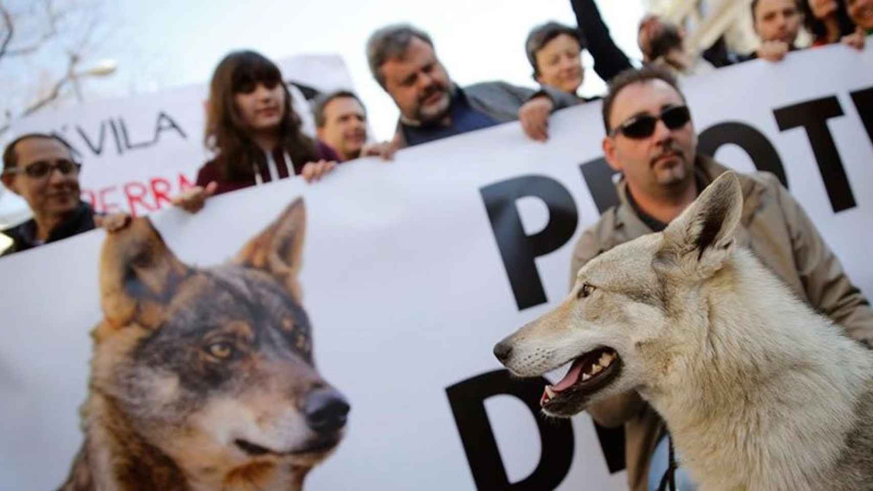 Marcha el pasado 13 de marzo en la Puerta del Sol para la protección del lobo ibérico.