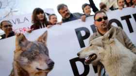 Marcha el pasado 13 de marzo en la Puerta del Sol para la protección del lobo ibérico.