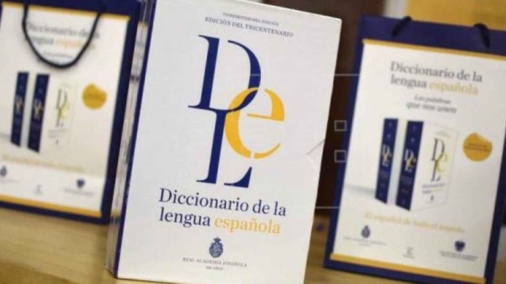 Diccionario de la Lengua Española / EFE