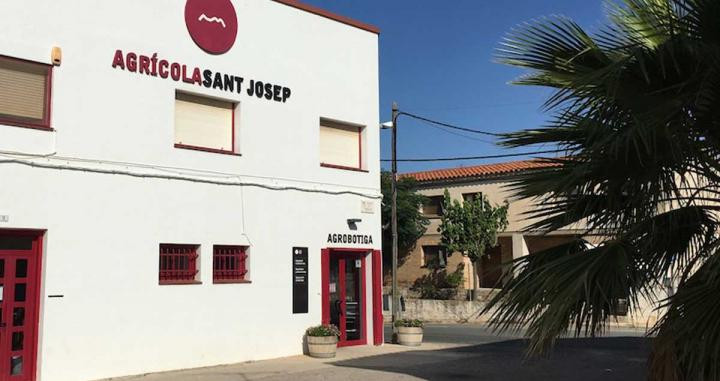 La Cooperativa Agrícola Sant Josep, en Bot
