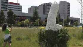 Una mujer toma una foto de la estatua con forma de pene aparecida delante del Hospital de León / EFE