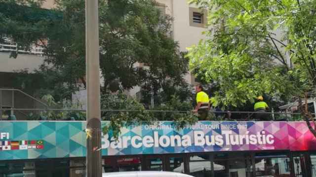 Empleados municipales haciendo la poda del arbolado de Barcelona desde un bus turístico (CG)