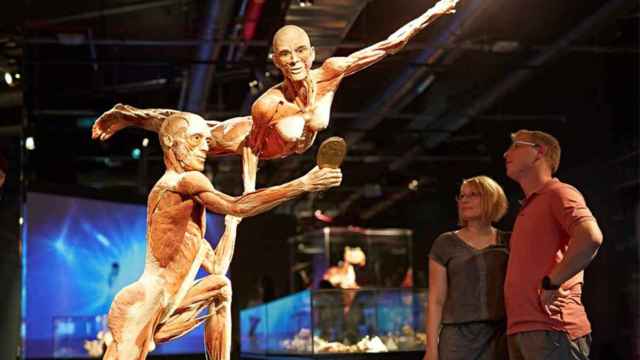 La exposición Body Worlds, en IFEMA, exhibida en 2021 / IFEMA