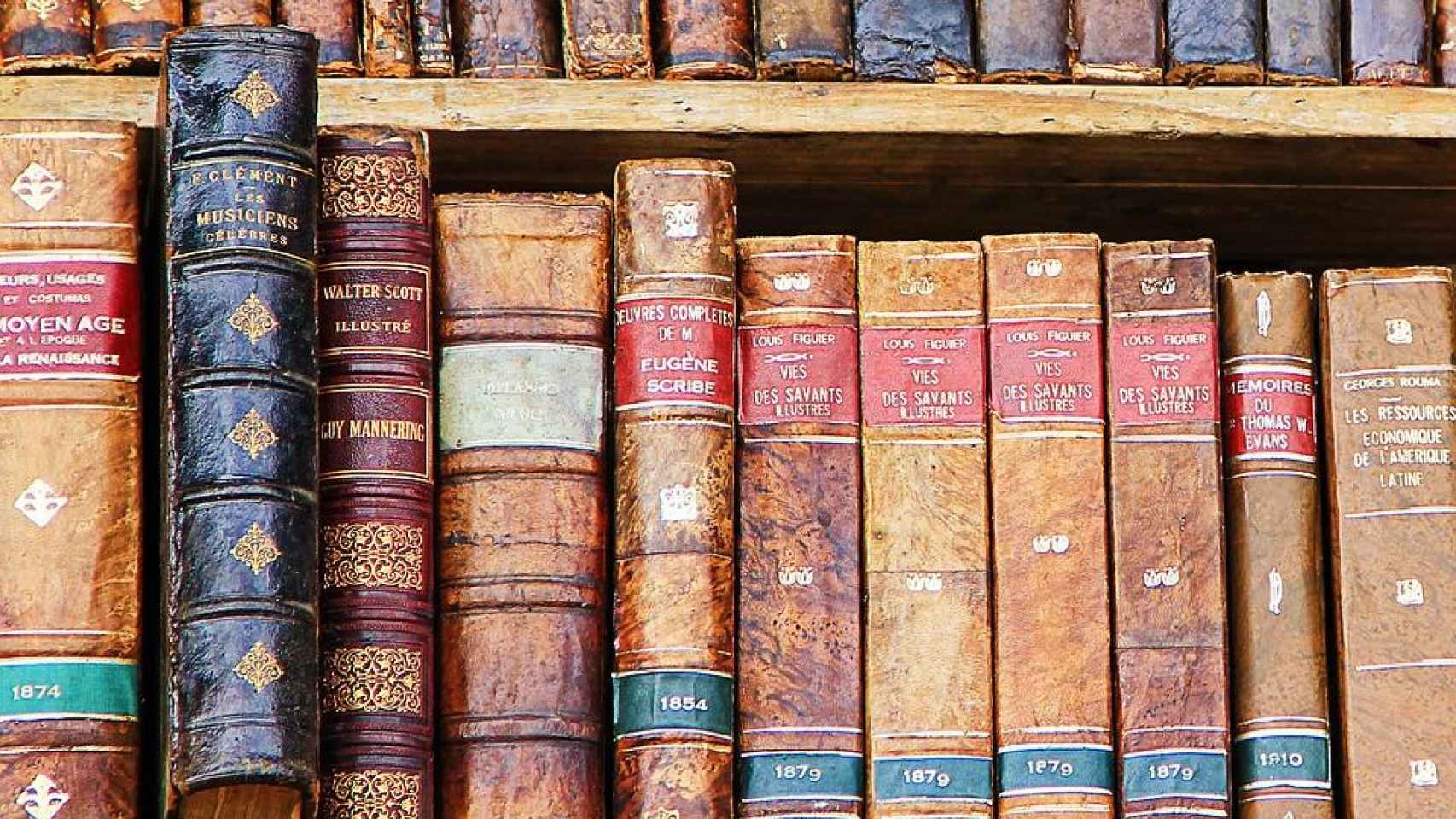 Colección de diccionarios antiguos. Los sinónimos y el vigor del idioma