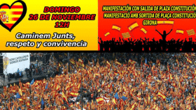 Cartel de la manifestación contra el Gobierno destituido de Puigdemont en Girona / CG