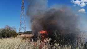 Un incendio quema un cañaveral en Valls, Tarragona / BOMBERS