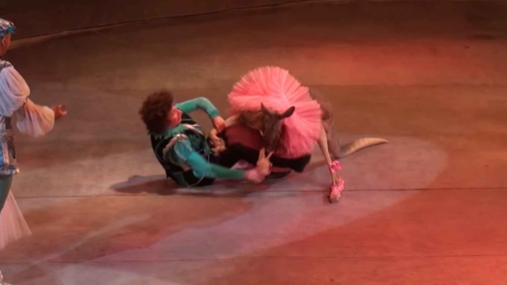 El canguro y el actor, revolcándose por los suelos durante su actuación / YOUTUBE