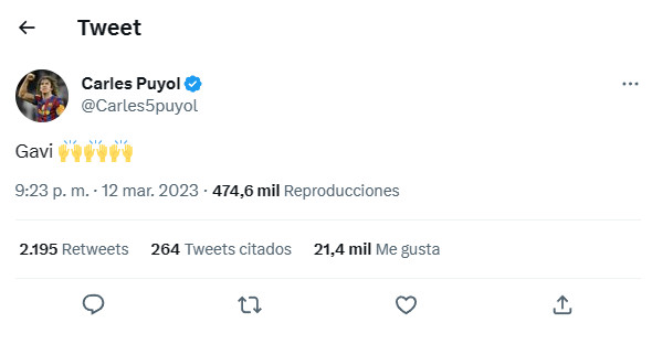 Captura del Twitter de Puyol / REDES