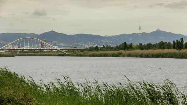 Mantenimiento del caudal ecológico del río Llobregat con agua regenerada / AIGÜES DE BARCELONA