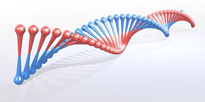 Las terapias génicas actúan directamente en los genes defectuosos para curar las enfermedades / PIXABAY