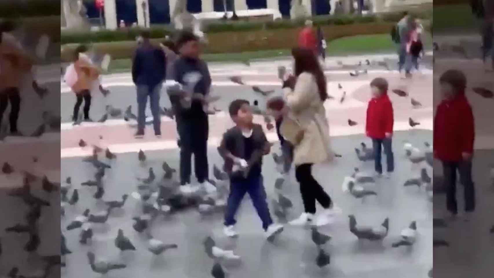 Un niño lanza palomas a los turistas en plaza Catalunya / TWITTER