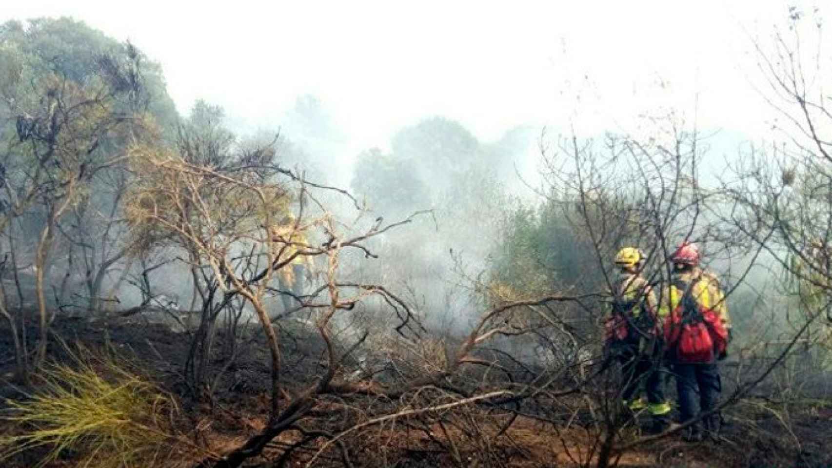 Unos bomberos en el área quemada por el incendio en Badalona / BOMBERS