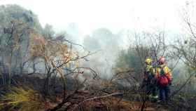 Unos bomberos en el área quemada por el incendio en Badalona / BOMBERS