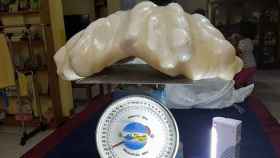 La perla natural más grande del mundo, encontrada hace 10 años por un pescador filipino. / FACEBOOK