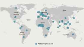 El mapa de los residuos plásticos del mundo / BRANDED