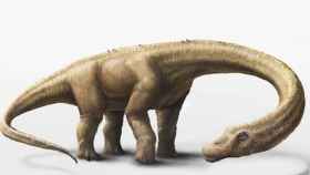 Representación en 3D del Dreadnoughtus schrani, un dinosaurio herbívoro que probablemente pasó gran parte de su vida comiendo grandes cantidades de plantas para mantener su enorme tamaño corporal.