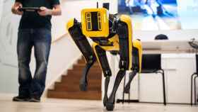 Perro robot de Boston Dynamics / EUROPA PRESS