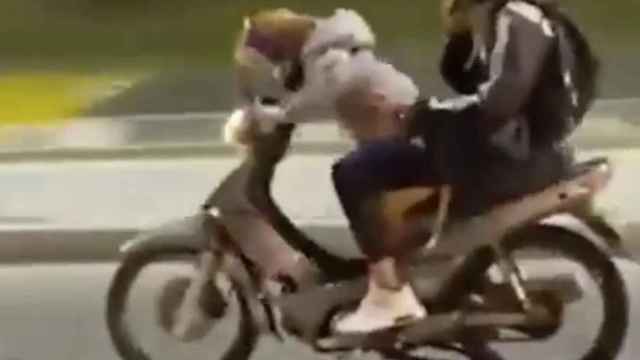 El perro que conduce una moto con su sueño de paquete / LINCES