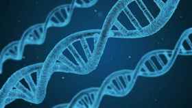 Las terapias génicas son una revolución para tratar enfermedades hasta ahora imposibles de curar / PIXABAY
