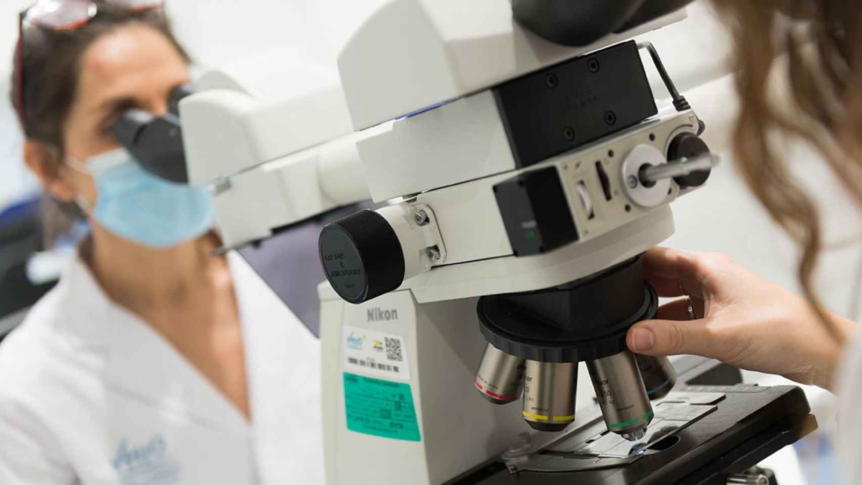 Investigadores del Vall d'Hebron Instituto Oncológico han demostrado la eficacia preclínica del nuevo fármaco contra el cáncer más agresivo / VHIO
