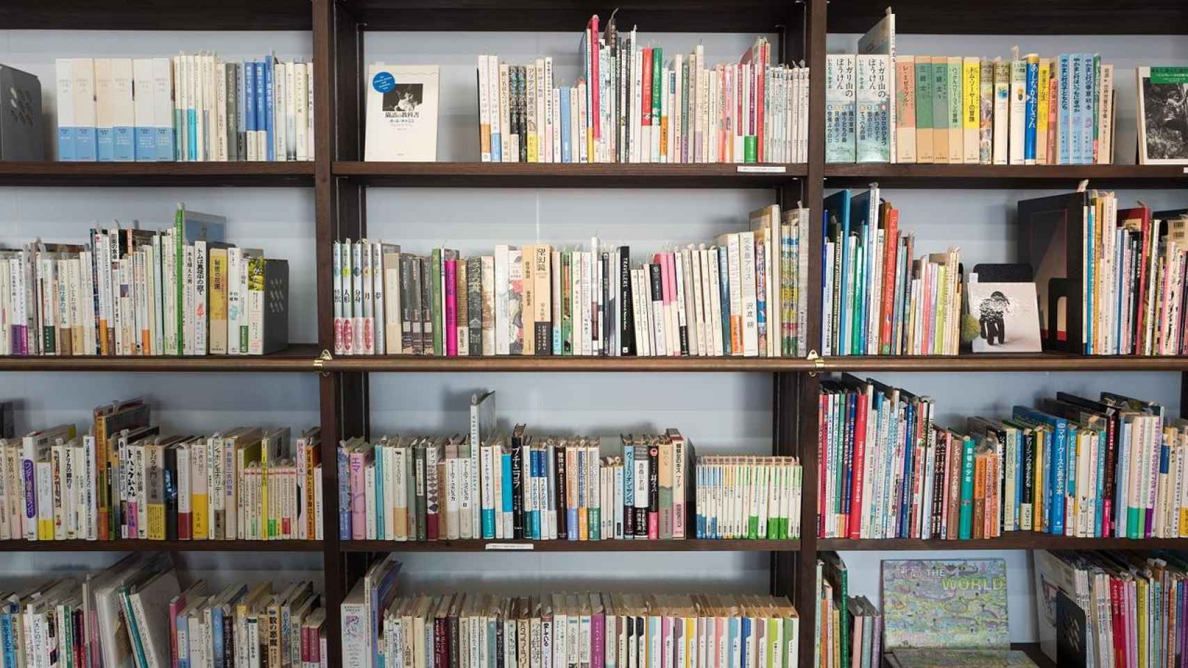 Estantería llena de libros en una de las mejores librerías de Barcelona / PIXABAY