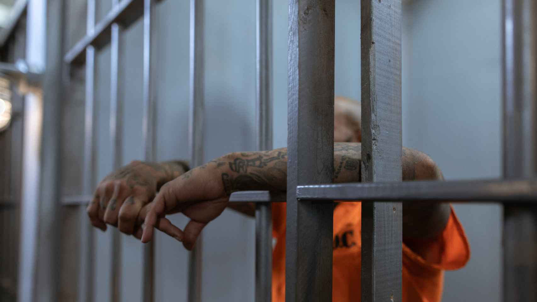 Un preso muestra sus brazos entre los barrotes /PEXELS