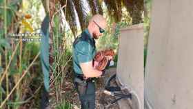 Un agente de la Guardia Civil con el bebé recién nacido / CEDIDA