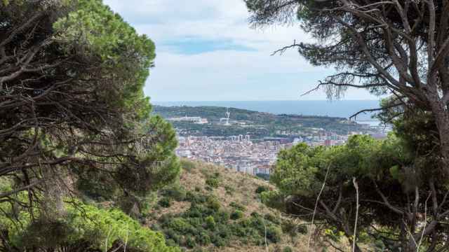 Vista de Barcelona desde Collserola, donde la ciudad conecta con el espacio natural / AMB