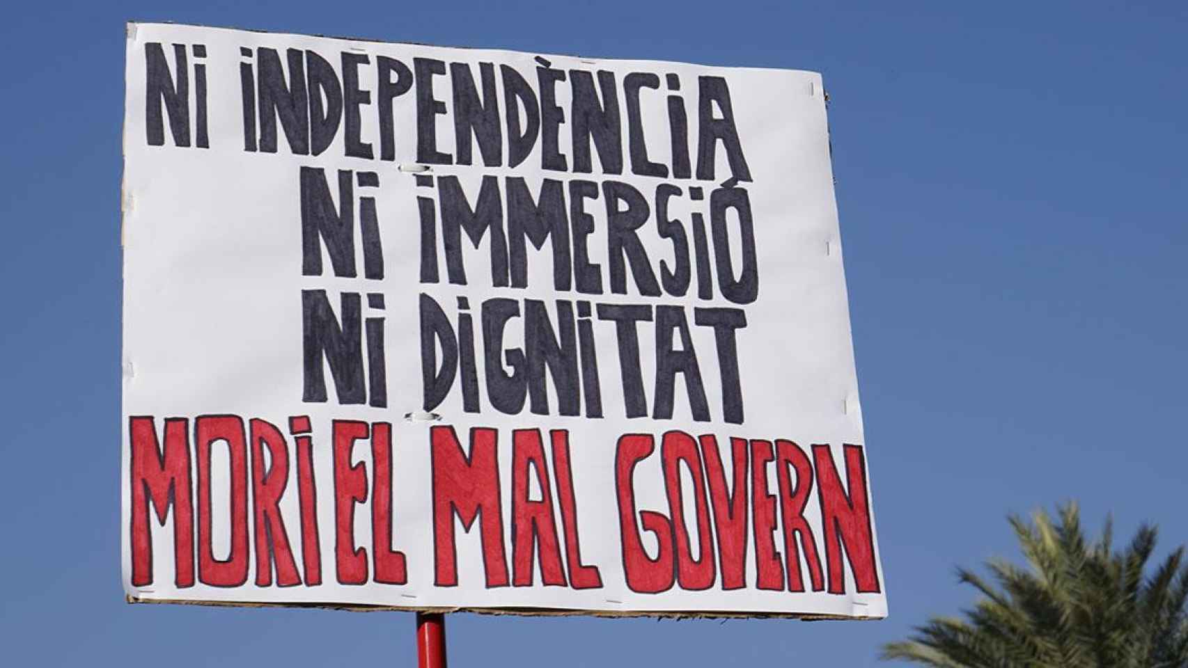 Pancarta contra la inmersión en la manifestación en contra del castellano / LUIS MIGUEL AÑÓN