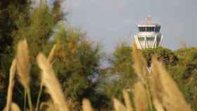 Una de las torres de control del aeropuerto de El Prat ocultada por la masa boscosa que rodea gran parte de la infraestructura / CARLOS MANZANO