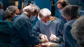 Personal médico del Hospital Clínic de Barcelona realizando el primer trasplante de útero de España / HOSPITAL CLÍNIC