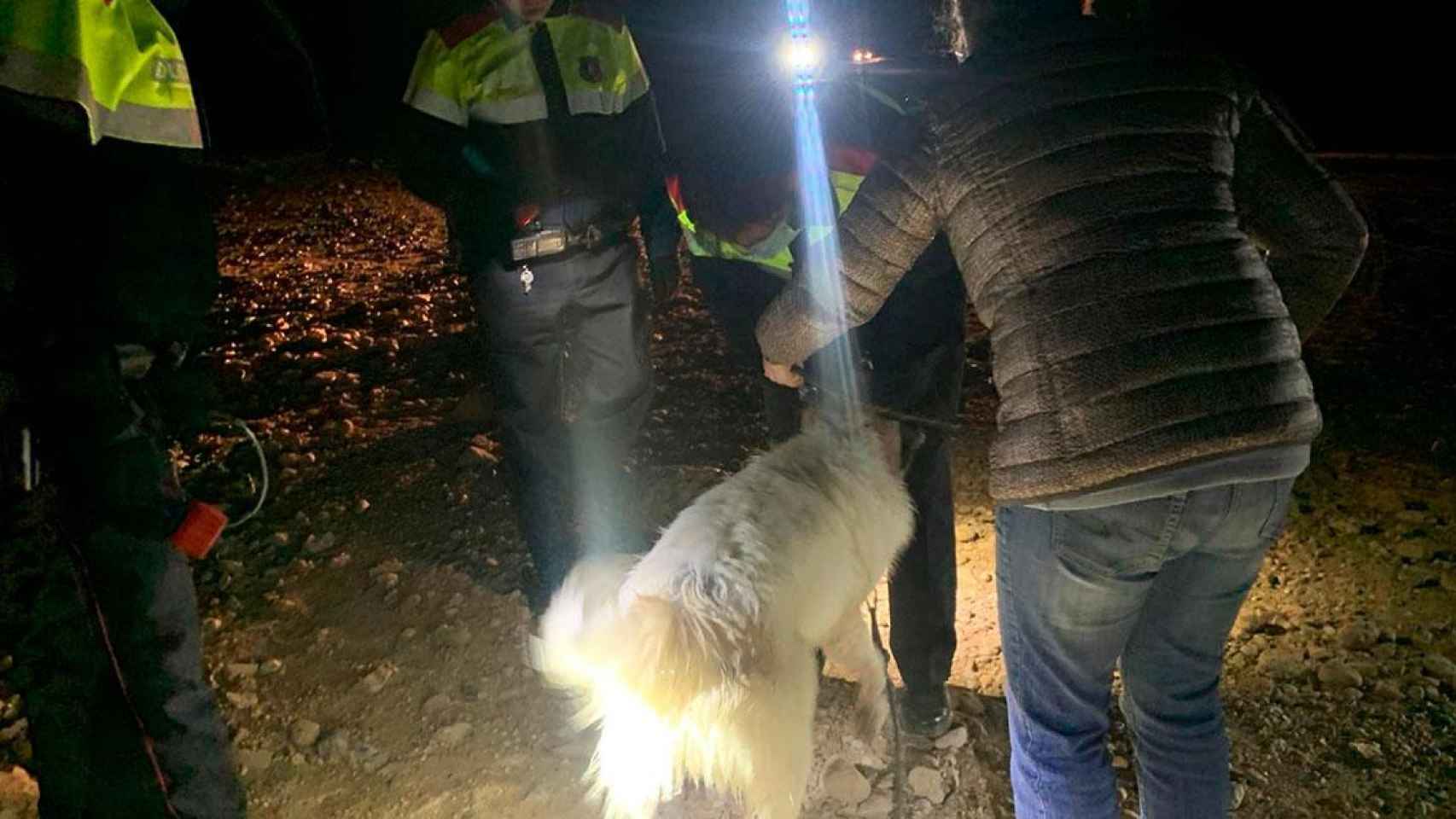 El perro después de ser rescatado por los Mossos y Bomberos en el pantano de Sant Antoni de Tremp (Lleida) / MOSSOS