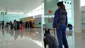 Una agente de los Mossos d'Esquadra en el aeropuerto de El Prat / CG